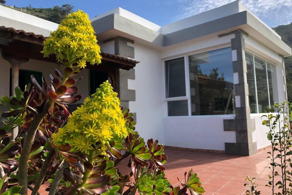 La Choza Villa Vacacional Teror Exterior foto
